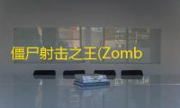 僵尸射击之王(Zombie Shooting King)